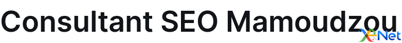 Consultant SEO Mamoudzou